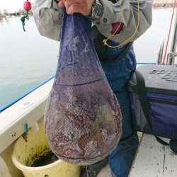 たかみ丸 釣果