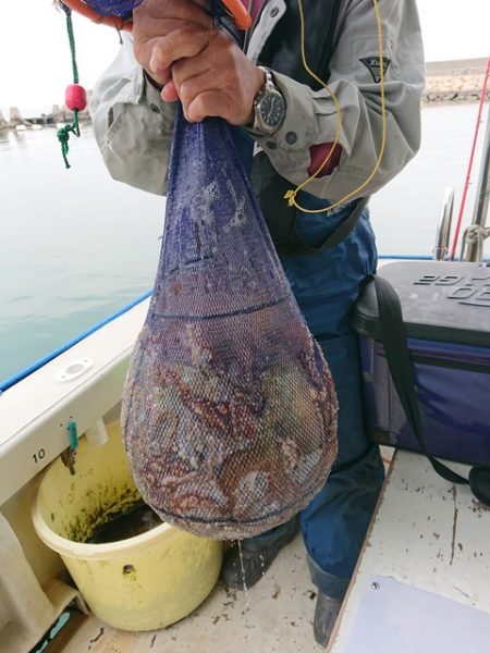 たかみ丸 釣果