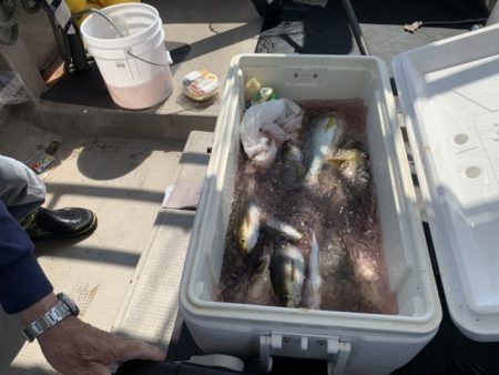 第八大安丸 釣果