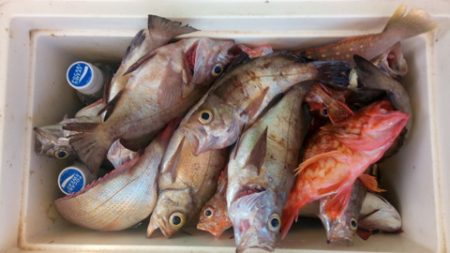 弘福丸 釣果