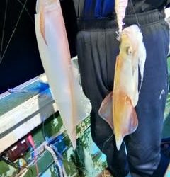 松福丸 釣果