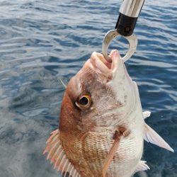 遊漁船 ニライカナイ 釣果