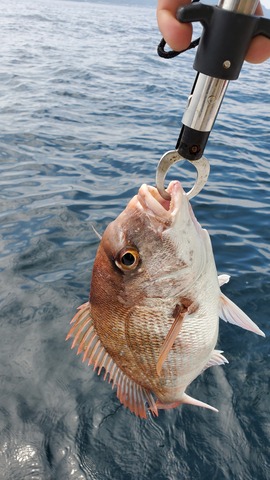 遊漁船 ニライカナイ 釣果