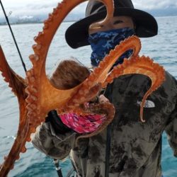 遊漁船 ニライカナイ 釣果