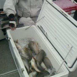 第二大福丸 釣果