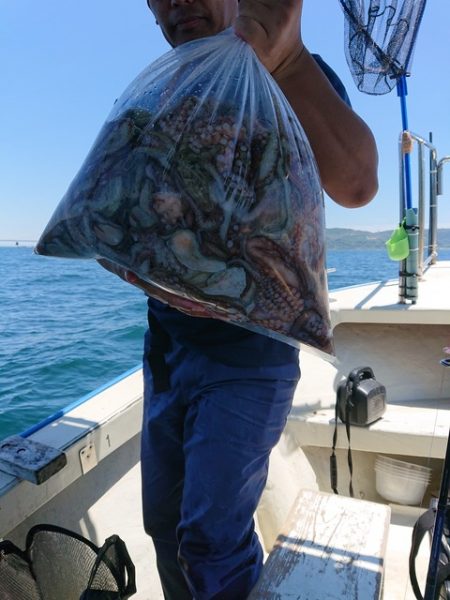 たかみ丸 釣果