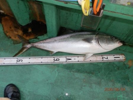 第二むつ漁丸 釣果