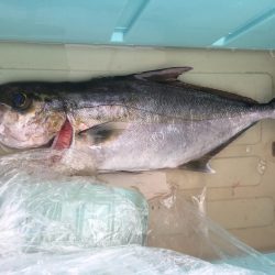 伊豆下田フィッシング 釣果