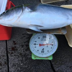 伊豆下田フィッシング 釣果