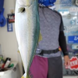 遊漁船 ニライカナイ 釣果