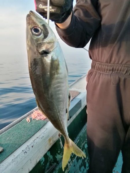 松福丸 釣果