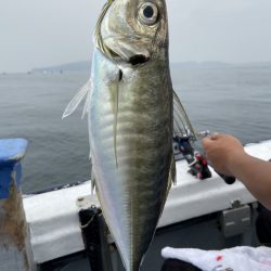 夢丸 釣果