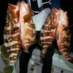 TOPGUN名古屋 釣果