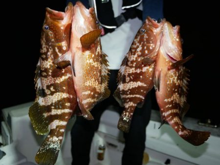 TOPGUN名古屋 釣果