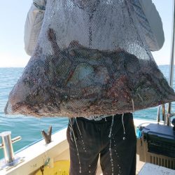 たかみ丸 釣果