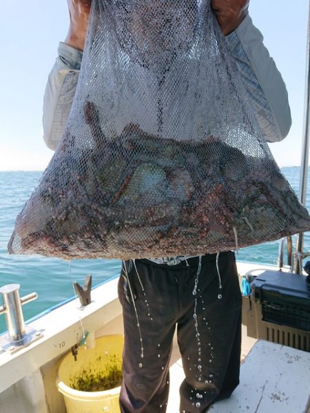 たかみ丸 釣果