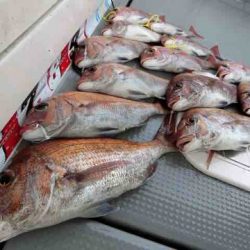 遊漁船 セトマリン 釣果