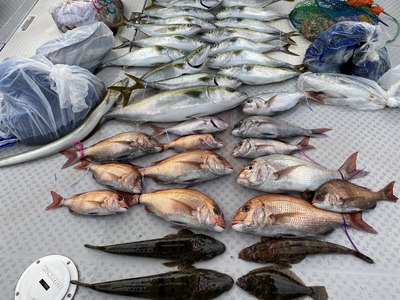 ミタチ丸 釣果