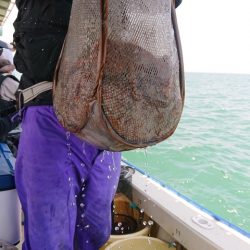 たかみ丸 釣果