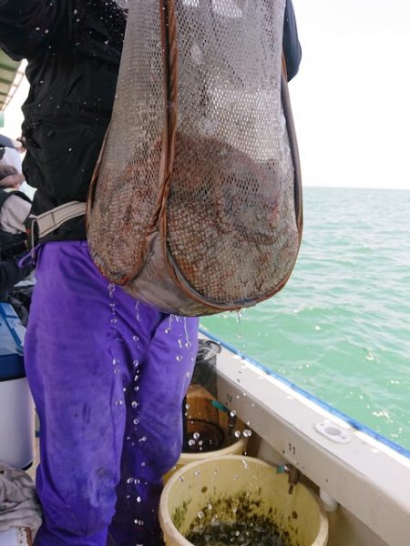 たかみ丸 釣果