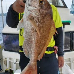 遊漁船 ニライカナイ 釣果