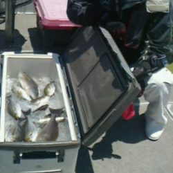 第二大福丸 釣果