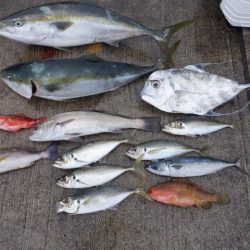 開進丸 釣果