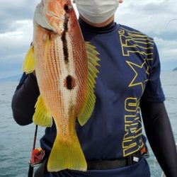 遊漁船 ニライカナイ 釣果