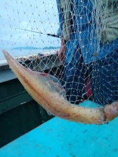 松福丸 釣果