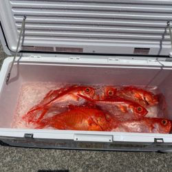 番匠高宮丸 釣果