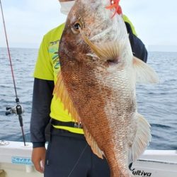 遊漁船 ニライカナイ 釣果