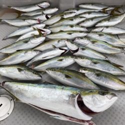 ミタチ丸 釣果