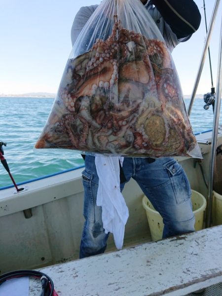 たかみ丸 釣果