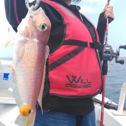 遊漁船 新鋭丸 釣果