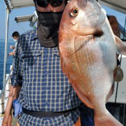 遊漁船 ニライカナイ 釣果