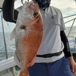 遊漁船 ニライカナイ 釣果