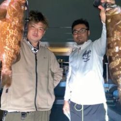 シーマジカル 釣果