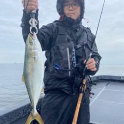 シーマジカル 釣果