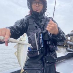 シーマジカル 釣果