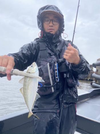 シーマジカル 釣果