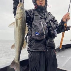 シーマジカル 釣果