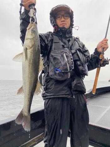 シーマジカル 釣果