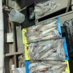 第八大安丸 釣果