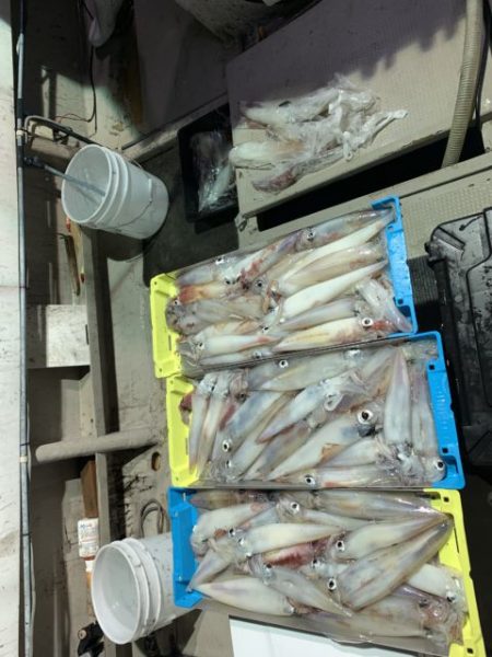 第八大安丸 釣果