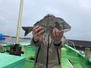喜久丸 釣果