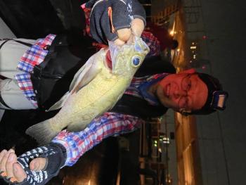 シーマジカル 釣果