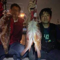 シーマジカル 釣果