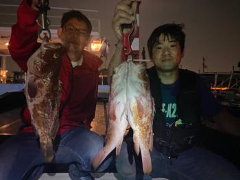 シーマジカル 釣果