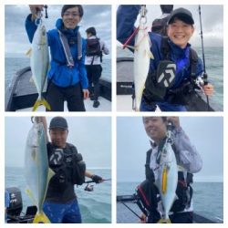 シーマジカル 釣果