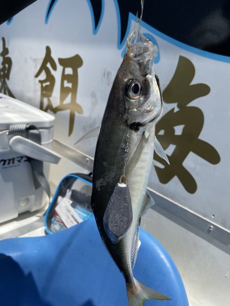 夢丸 釣果